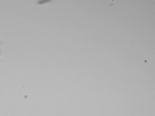 Help Search for Interstellar Dust