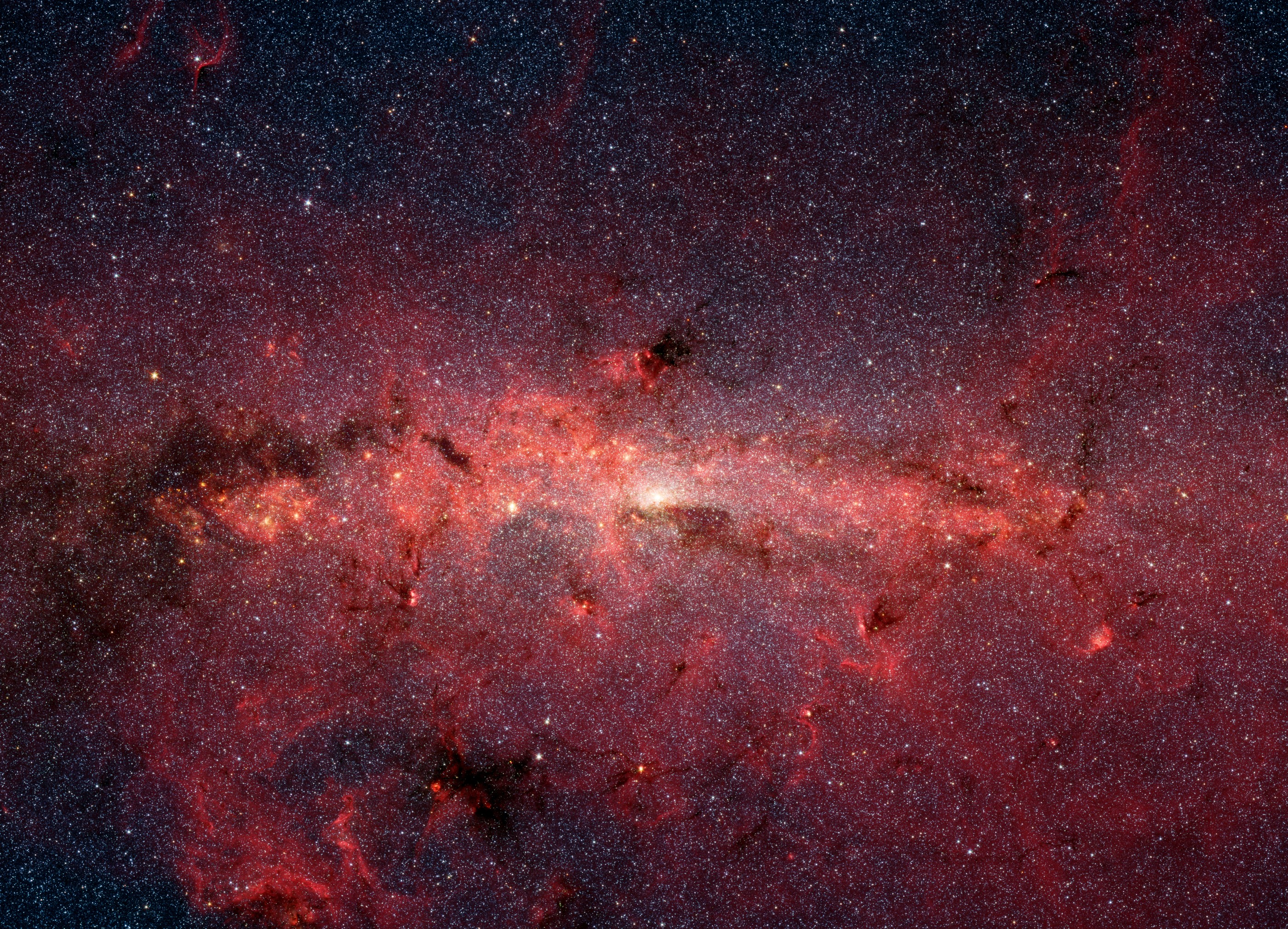 Stars of the Galactic Center