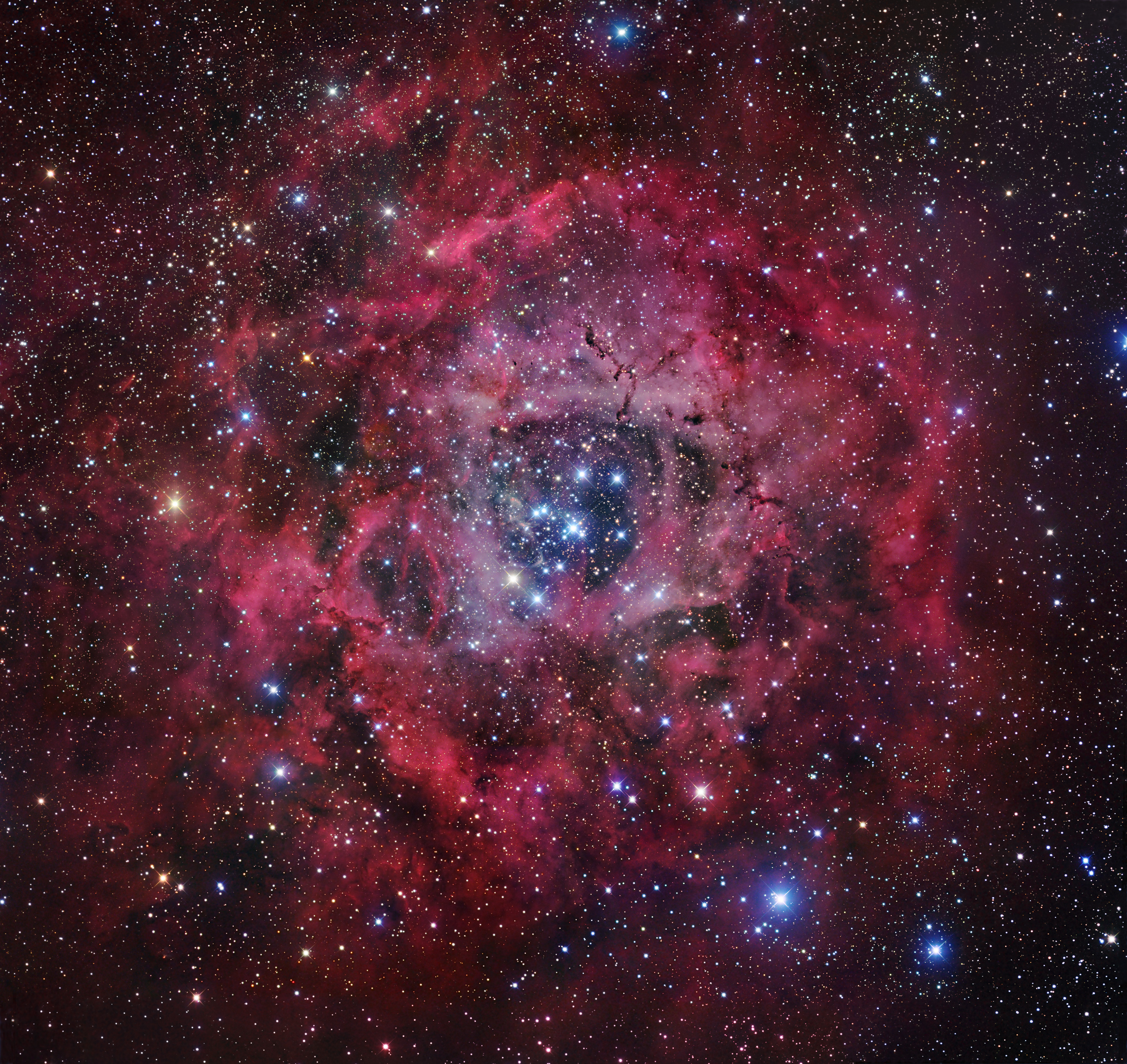 The Rosette Nebula