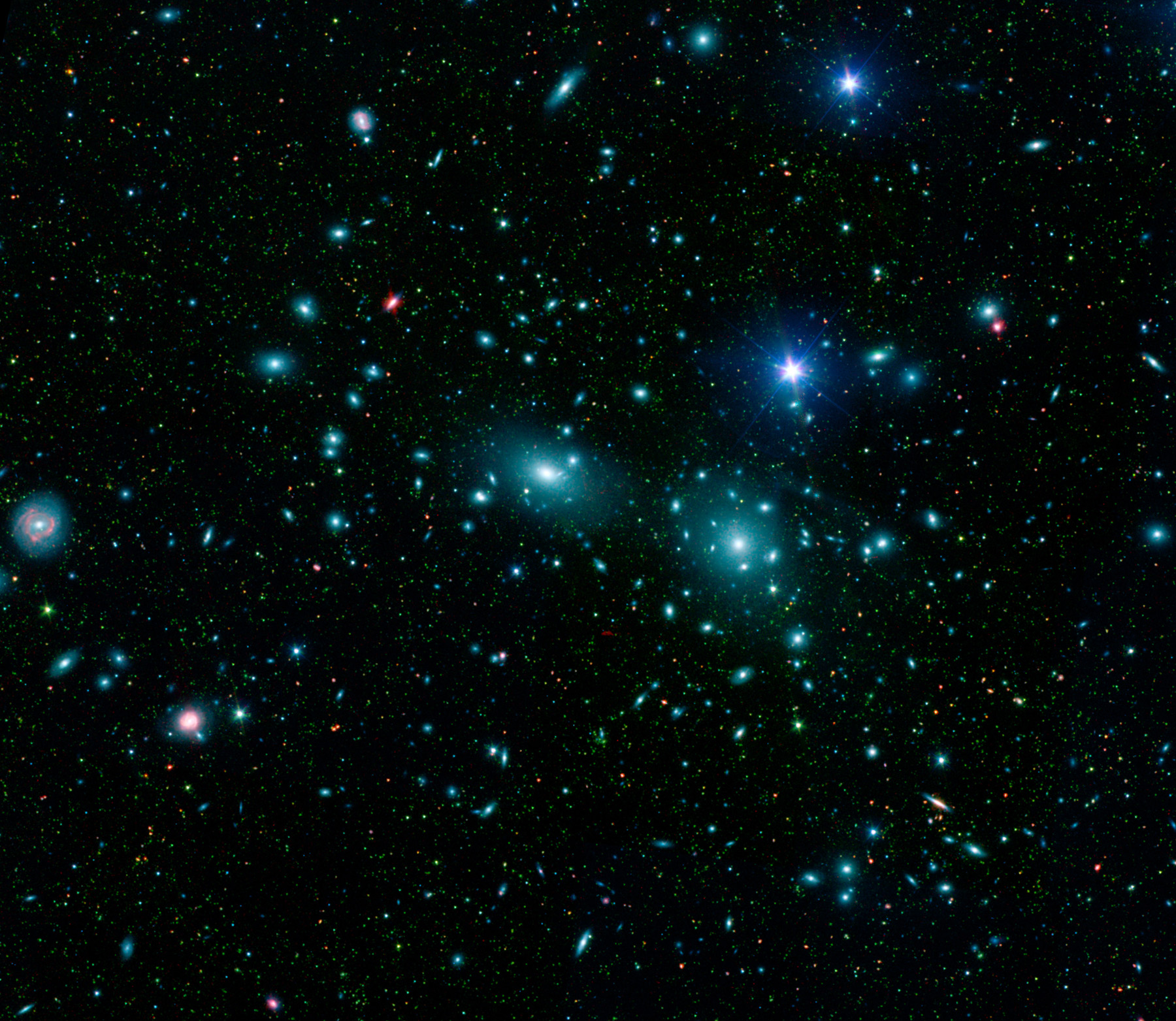 Dwarf Galaxies in the Coma Cluster
