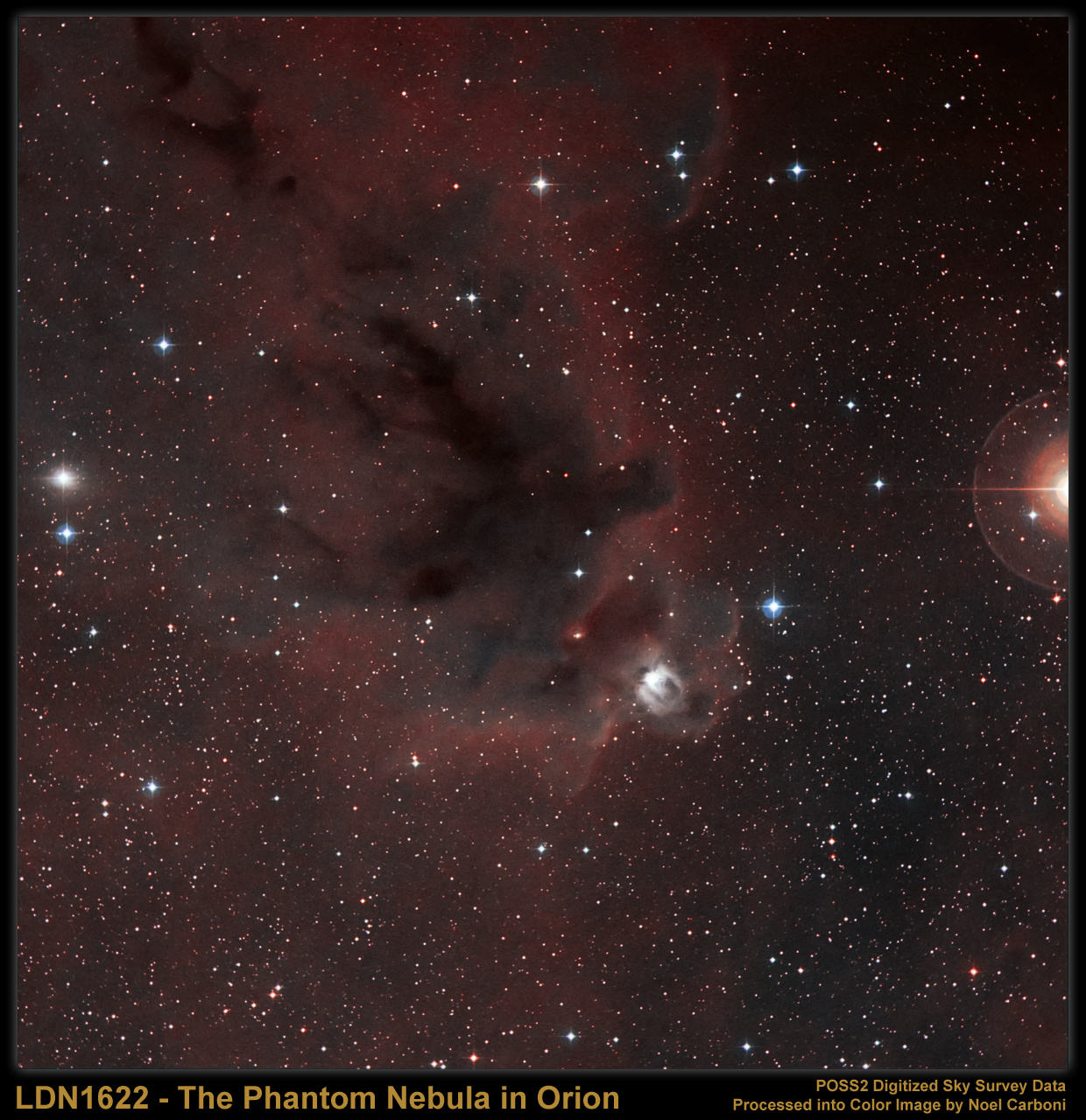 LDN 1622: Dark Nebula in Orion