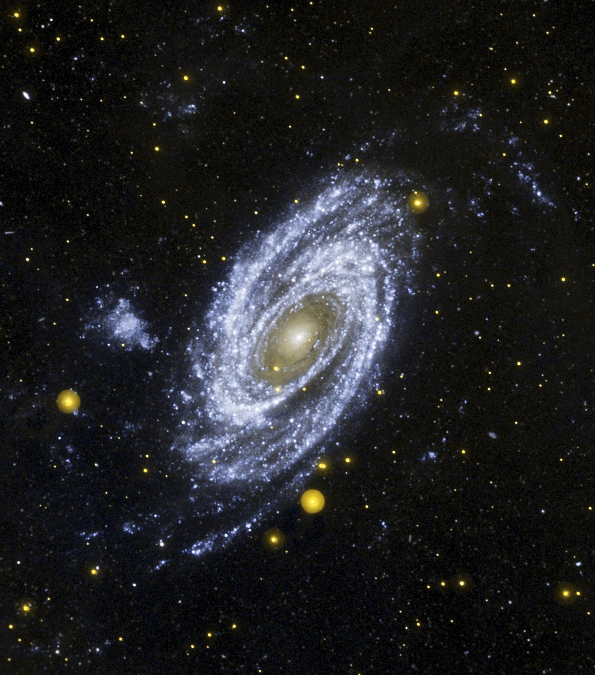 Bright Spiral Galaxy M81 in Ultraviolet from Galex