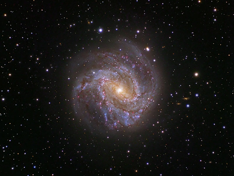 Spiral Galaxy M83: The Southern Pinwheel