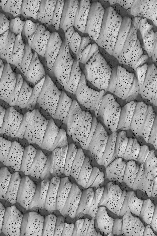 The Dotted Dunes of Mars