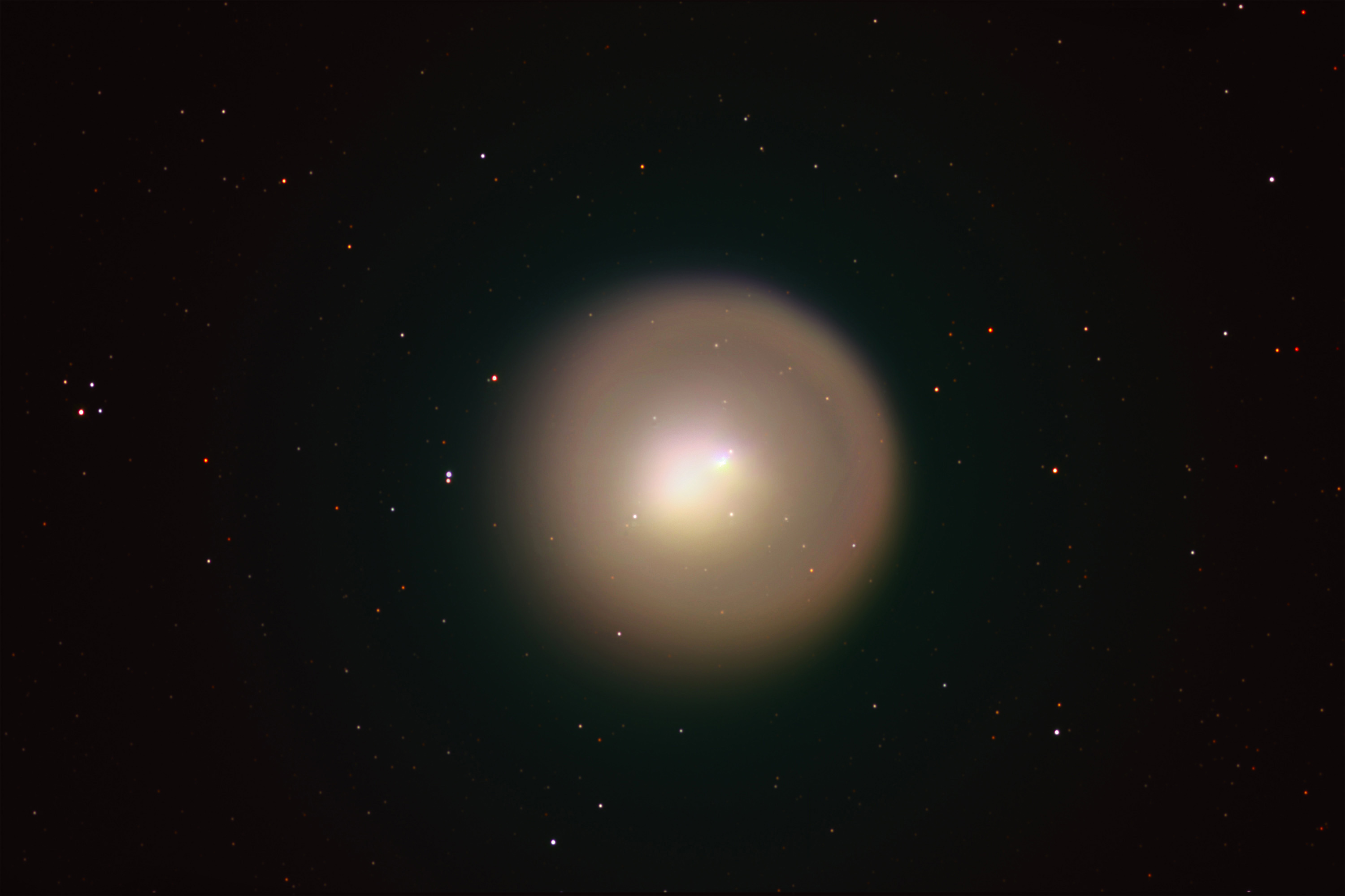 Golden Comet Holmes