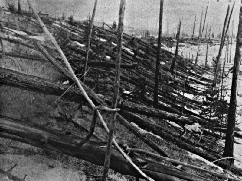 Tunguska: The Largest Recent Impact Event