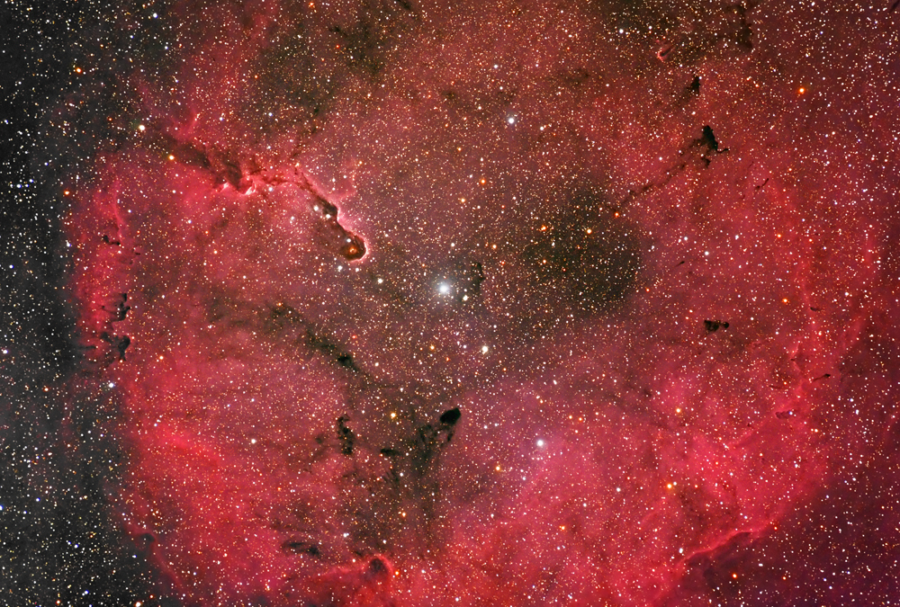 Emission Nebula IC 1396