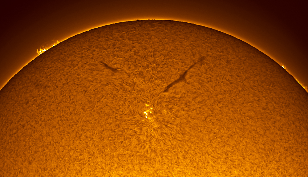 Sunspot in the Old Solar Cycle