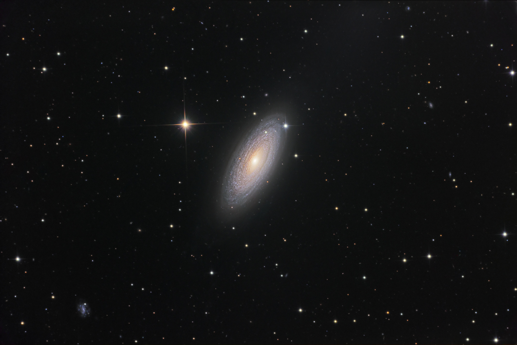 Spiral Galaxy NGC 2841