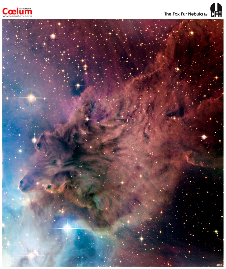 The Fox Fur Nebula from CFHT
