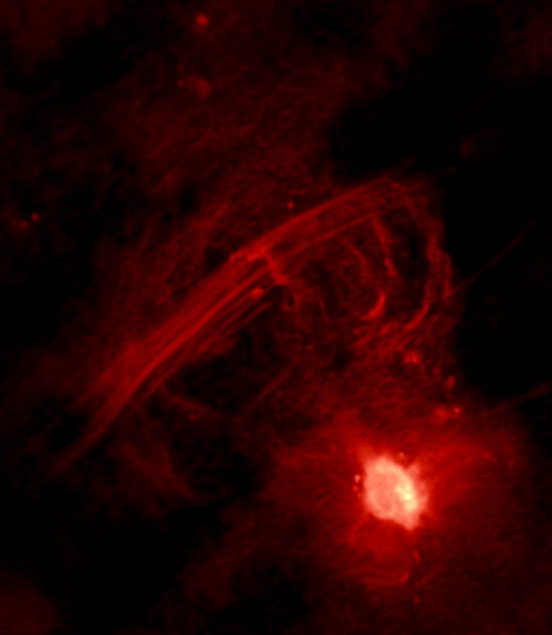 The Galactic Center Radio Arc