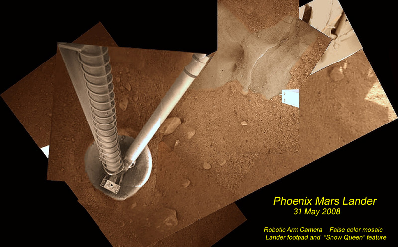 Phoenix and the Snow Queen