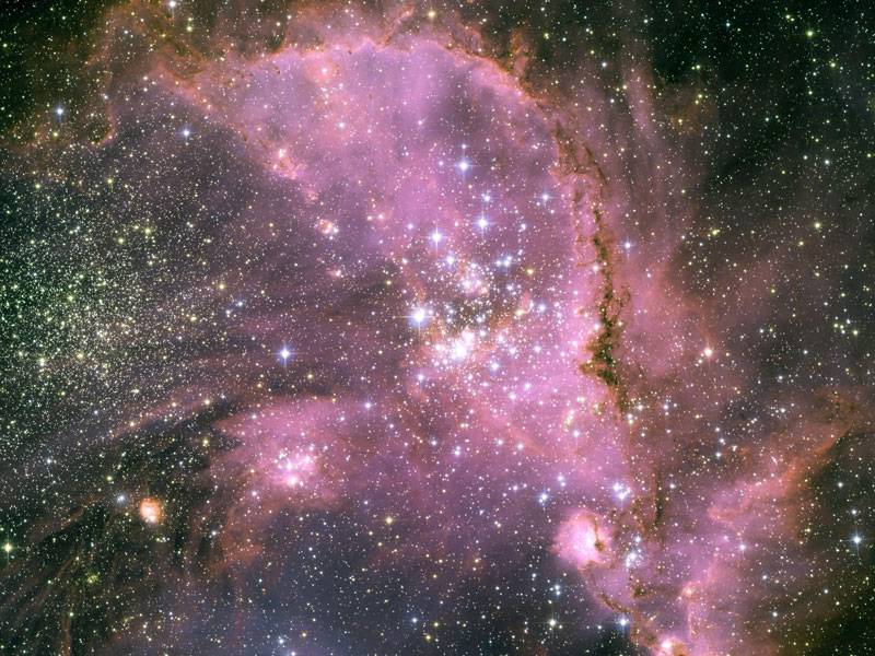 Young Stars of NGC 346