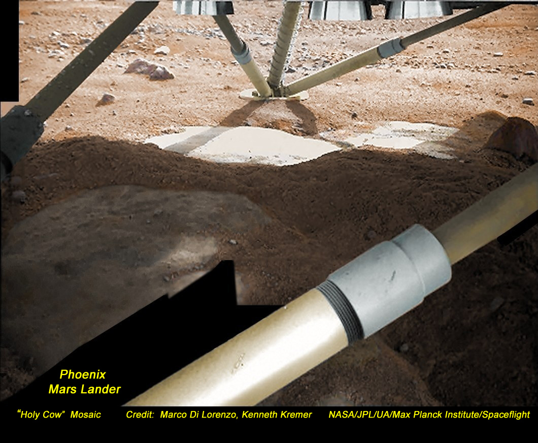 Phoenix and the Holy Cow