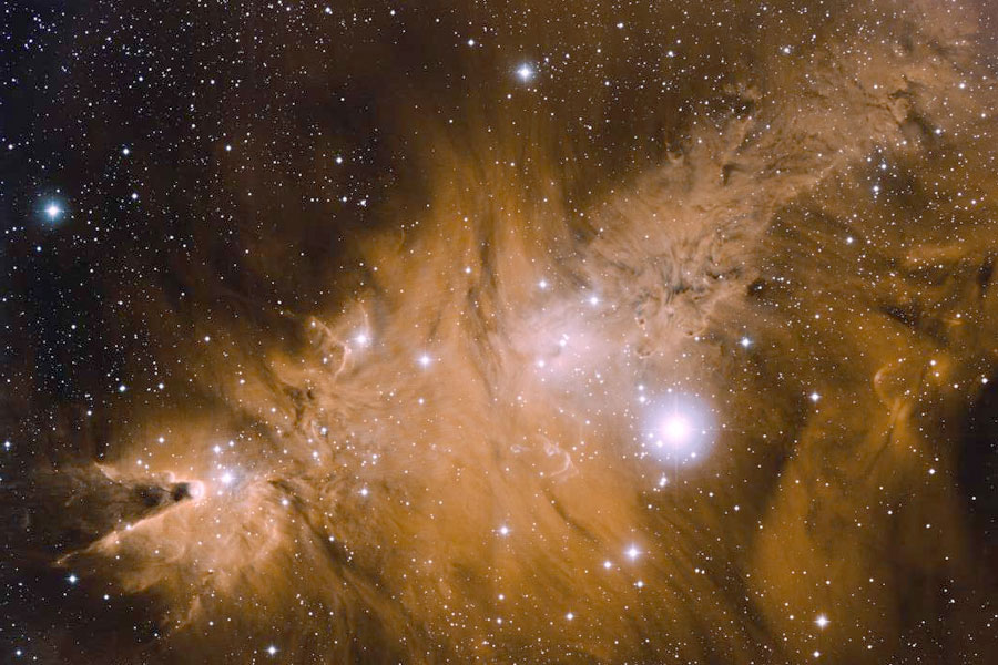 In the Vicinity of the Cone Nebula