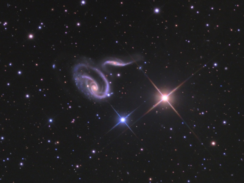 Arp 273