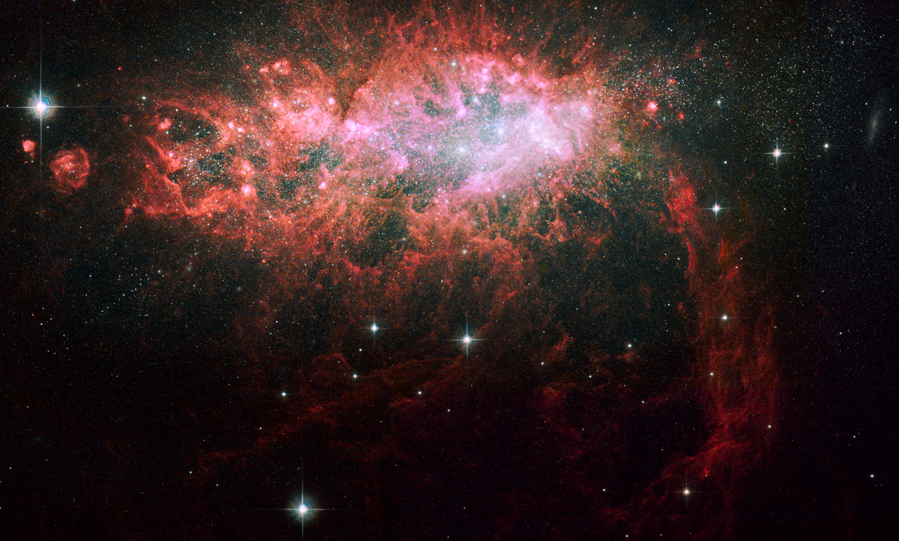 NGC 1569: Starburst in a Dwarf Irregular Galaxy