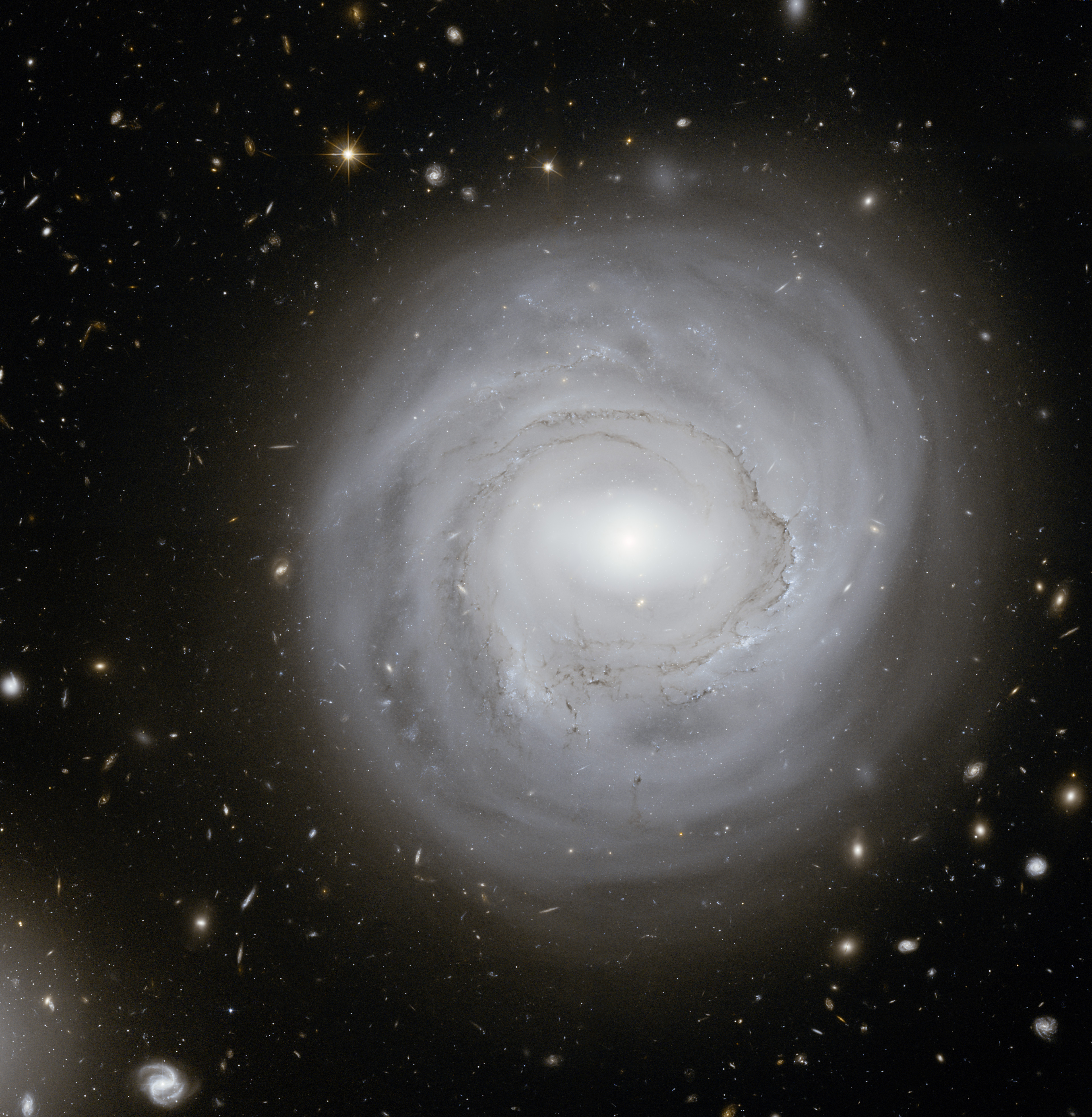Anemic Galaxy NGC 4921 at the Edge