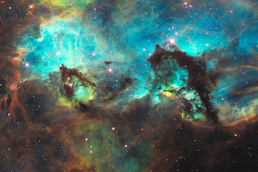 The Seahorse of the Large Magellanic Cloud
