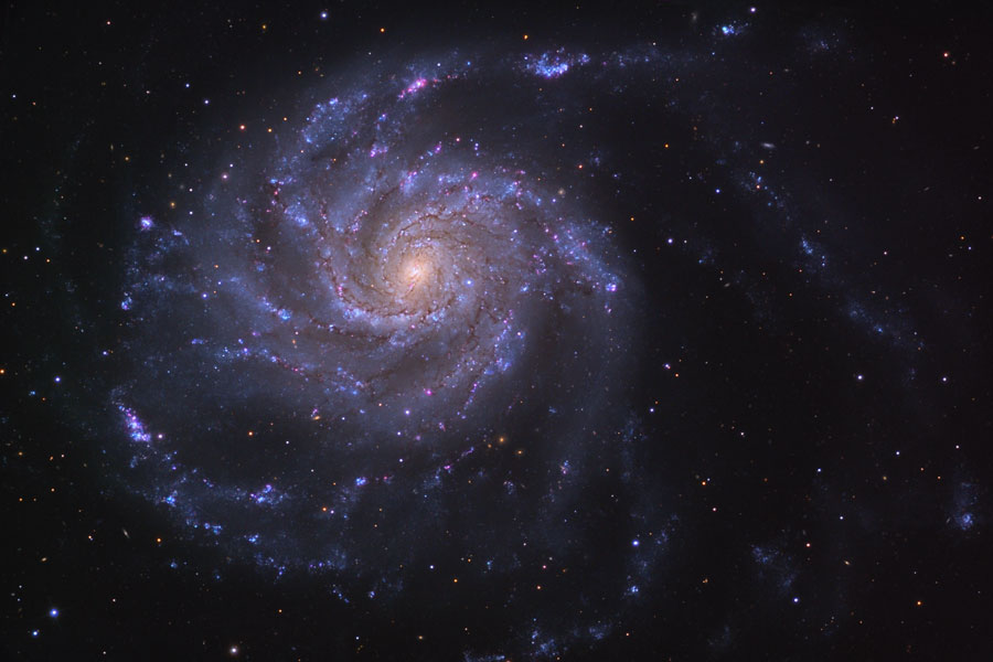 M101: The Pinwheel Galaxy