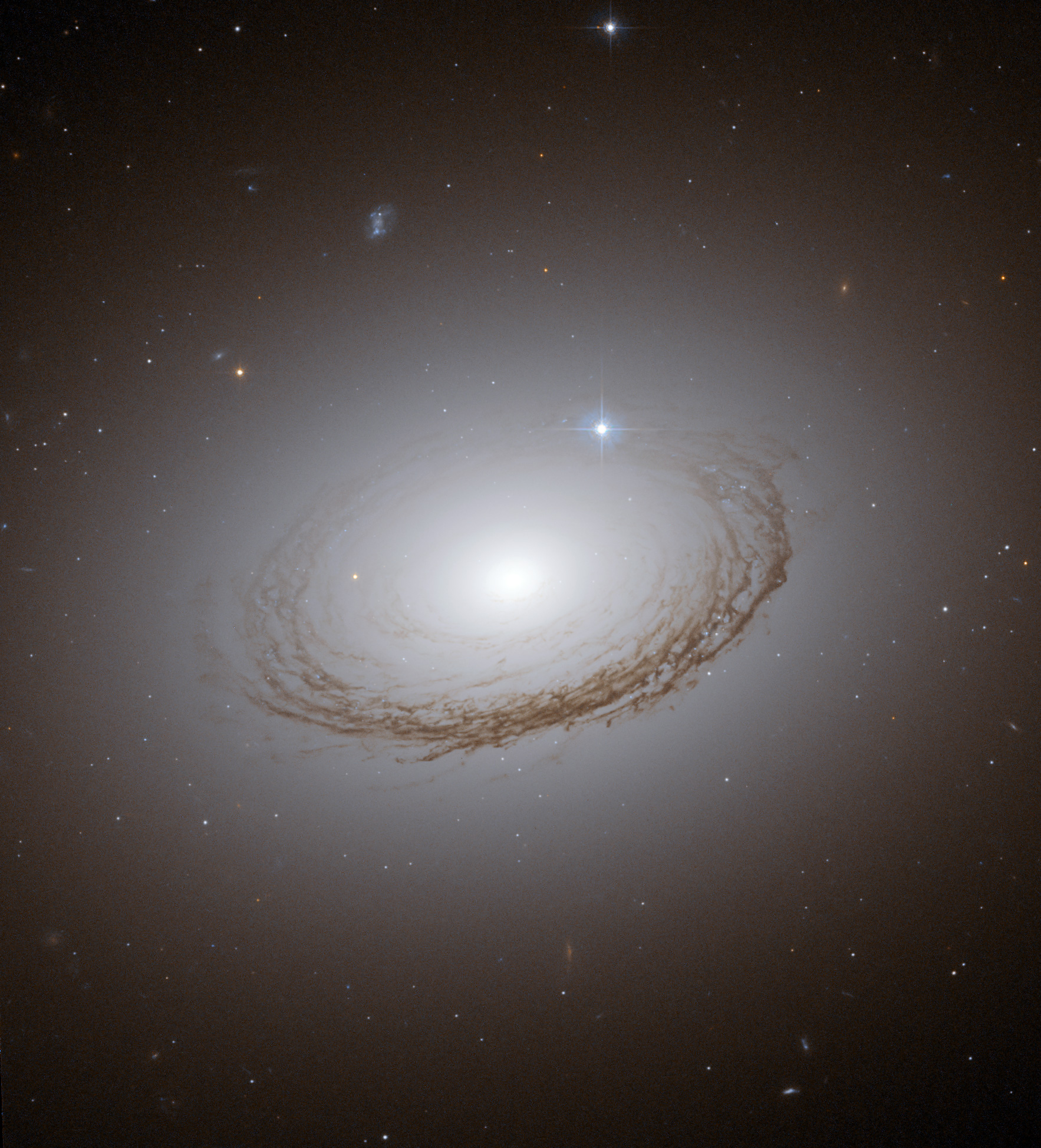 Unusual Dusty Galaxy NGC 7049