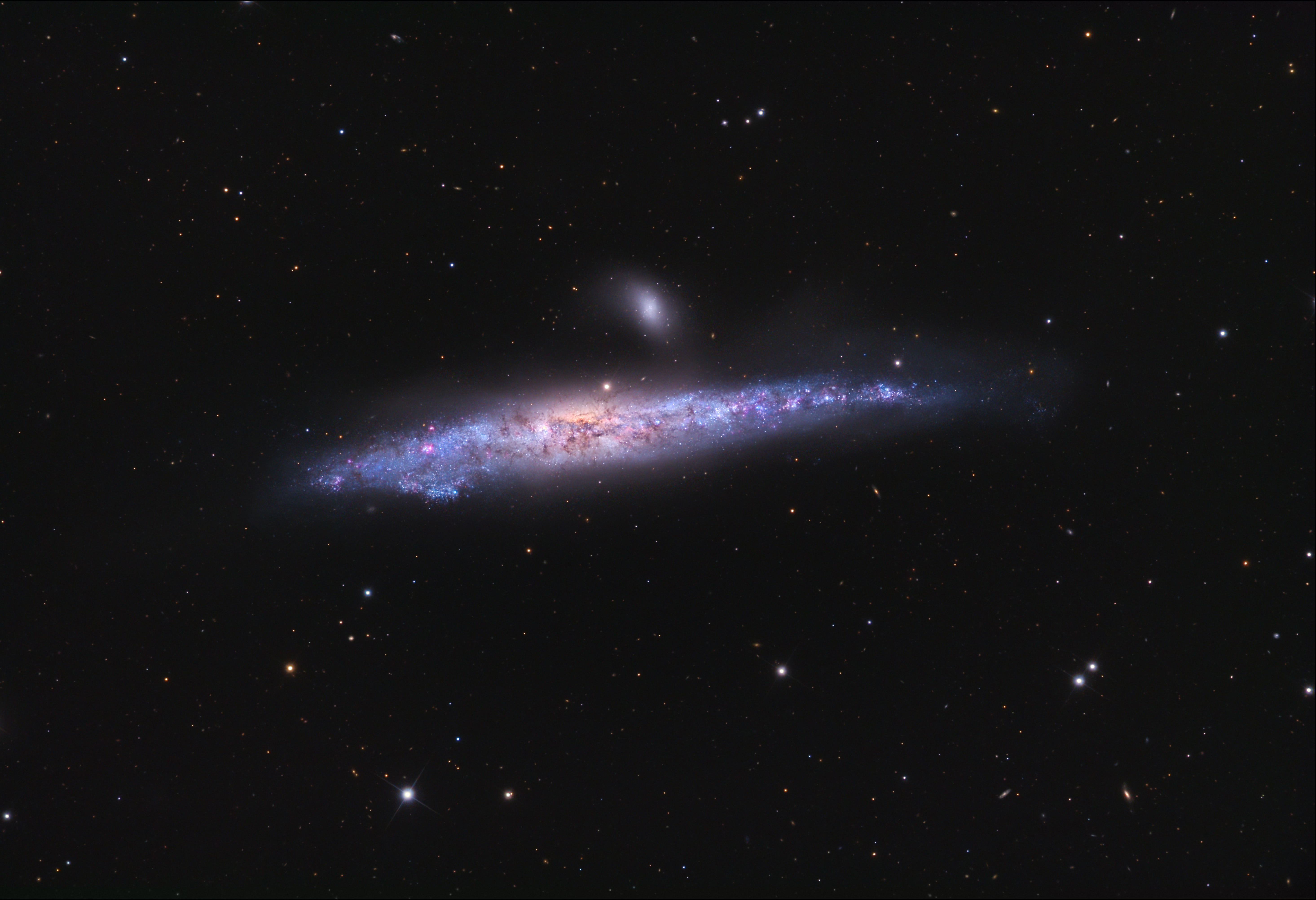 The Whale Galaxy