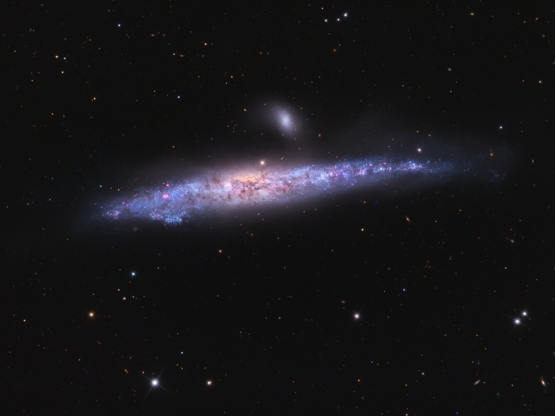 The Whale Galaxy
