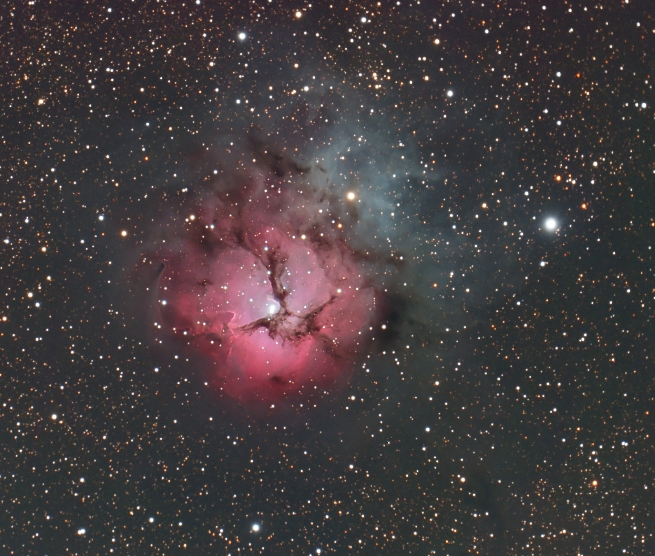 A Beautiful Trifid