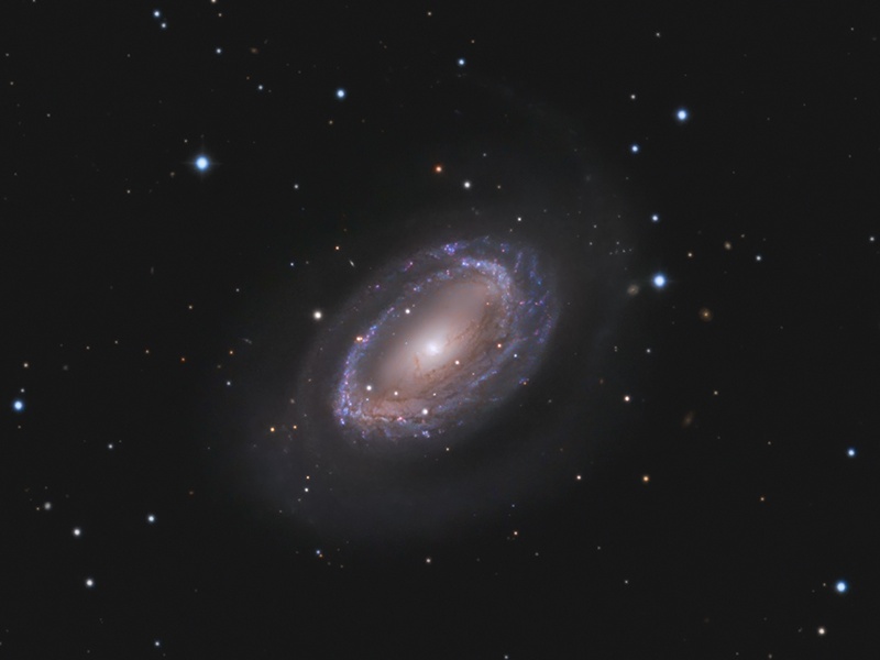 One-Armed Spiral Galaxy NGC 4725