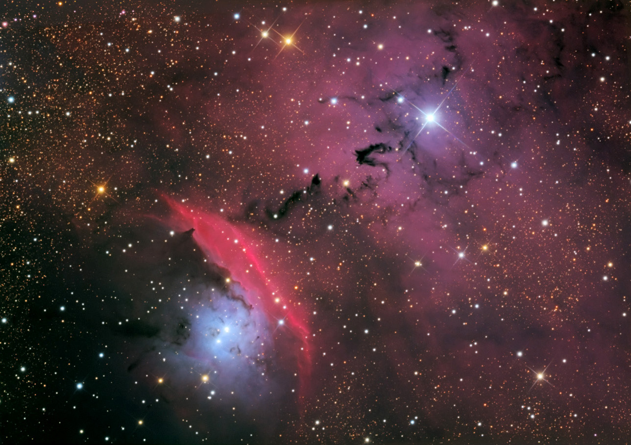 Stars, Dust and Nebula in NGC 6559