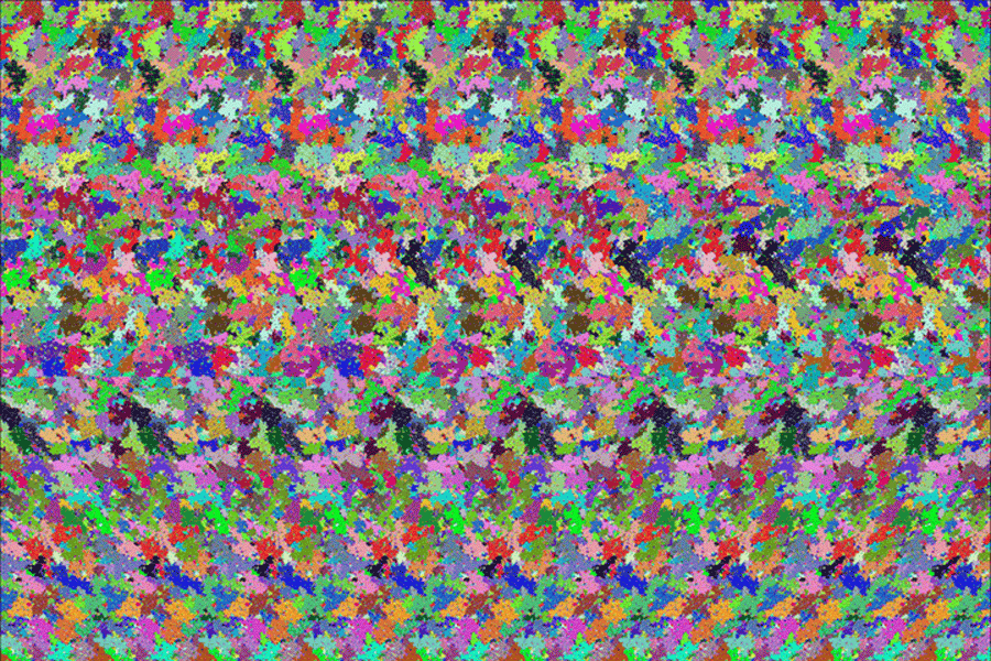 The Holographic Principle