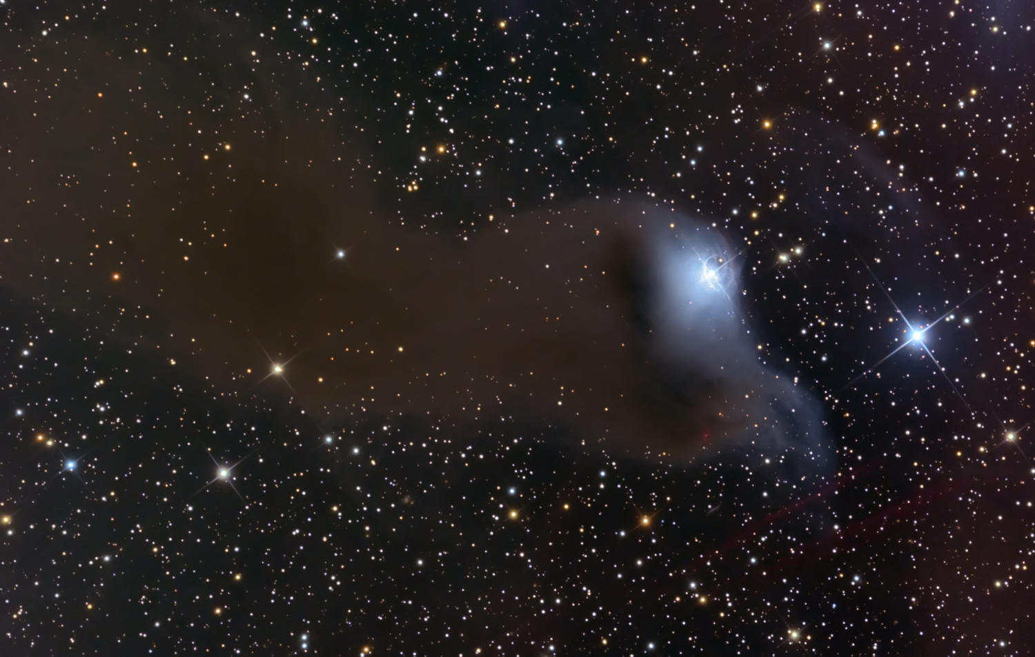 VdB 152: Reflection Nebula in Cepheus