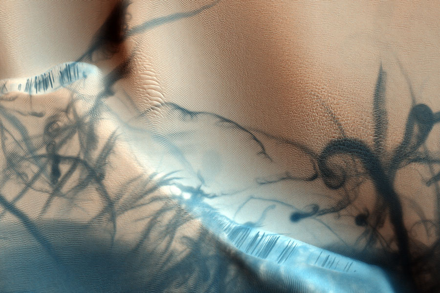 Martian Dust Devil Trails
