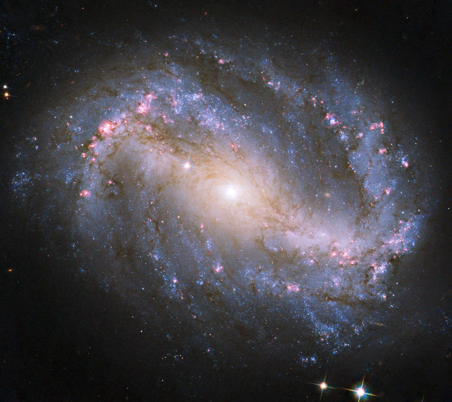 Barred Spiral Galaxy NGC 6217