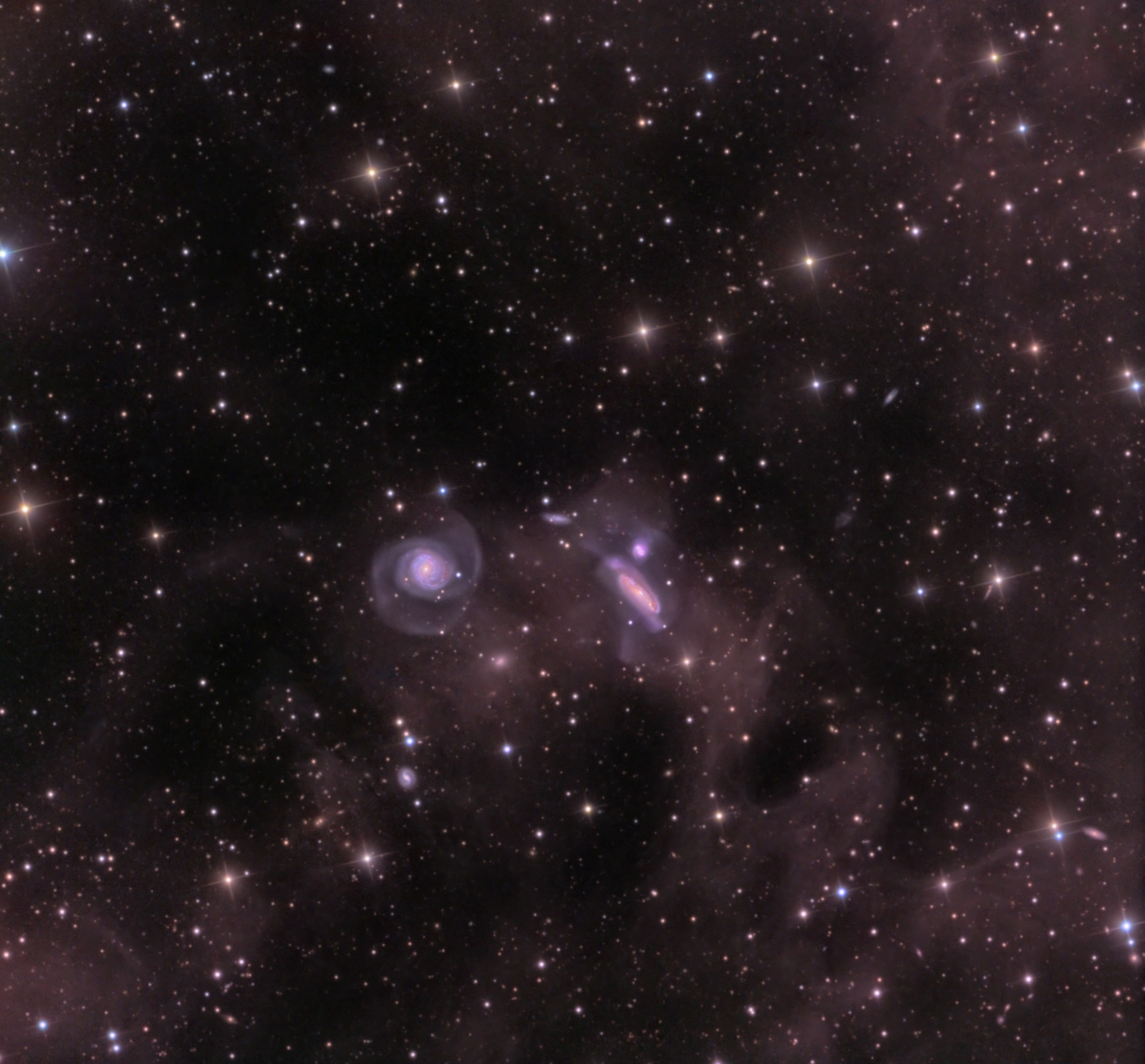Dust and the NGC 7771 Group