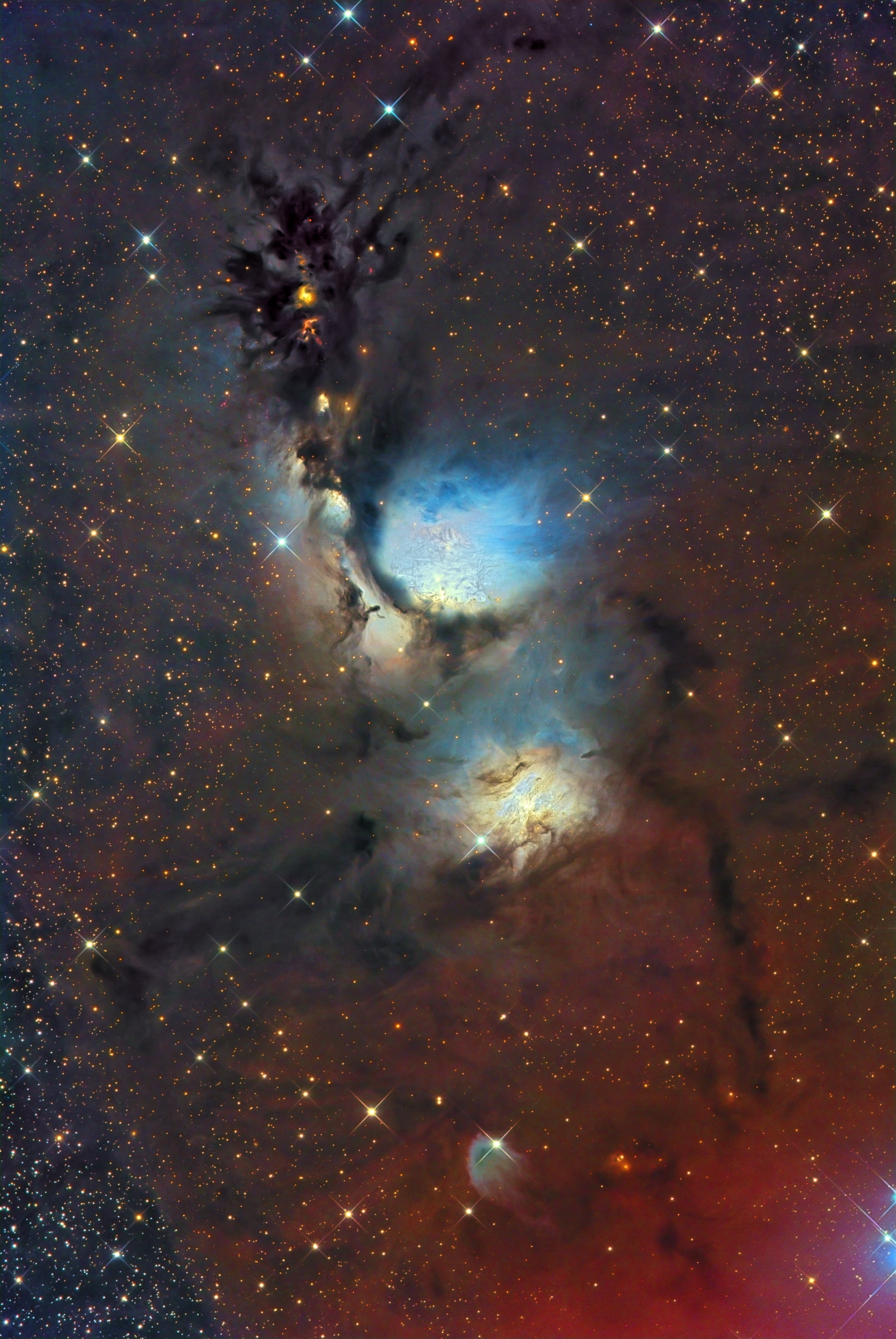 M78 and Reflecting Dust Clouds in Orion