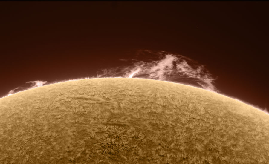 Reinvigorated Sun and Prominence
