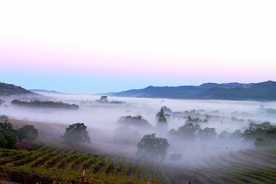 The Belt of Venus over the Valley of the Moon