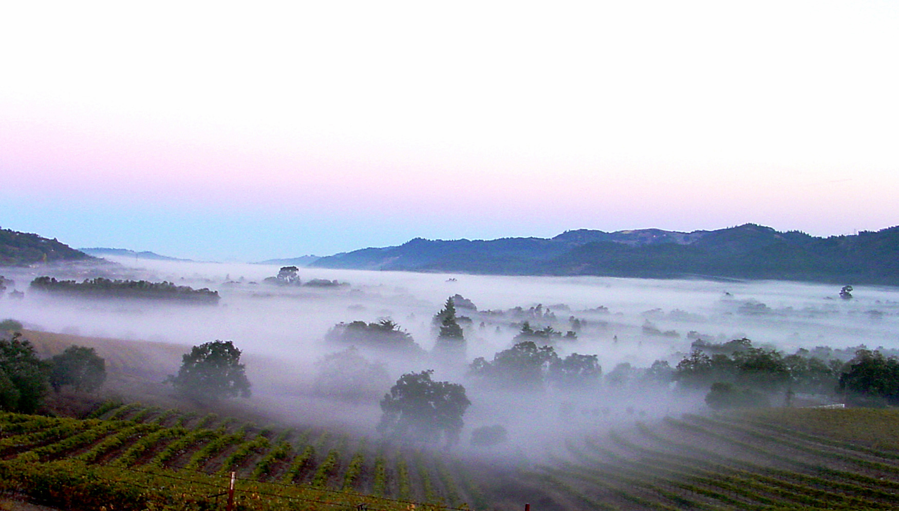 The Belt of Venus over the Valley of the Moon