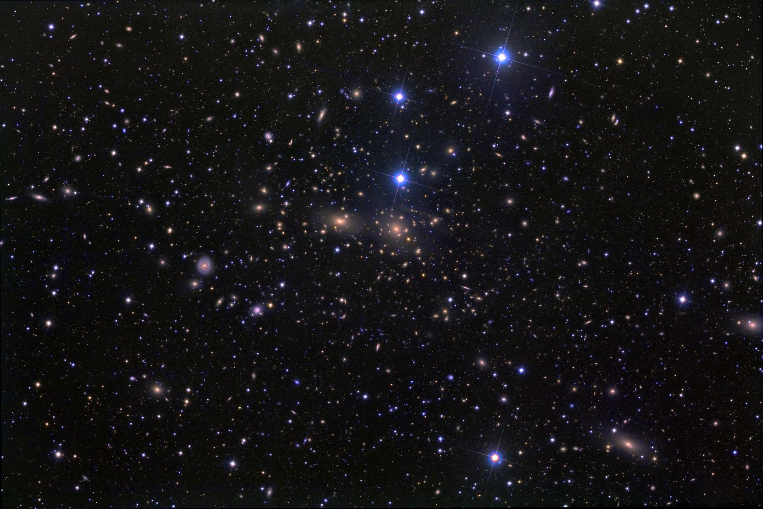 The Coma Cluster of Galaxies