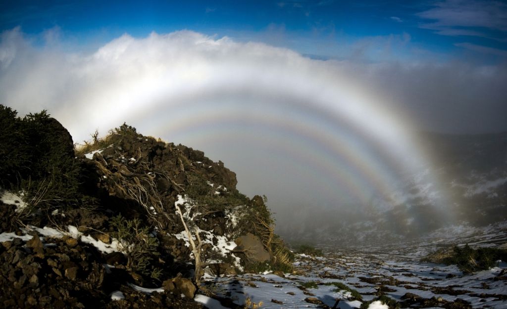 A Hall of Mountain Fogbows