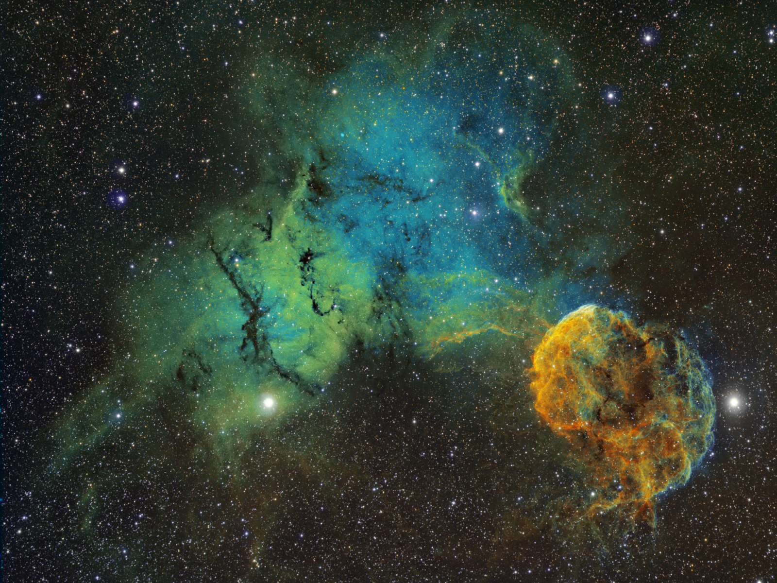 The Elusive Jellyfish Nebula