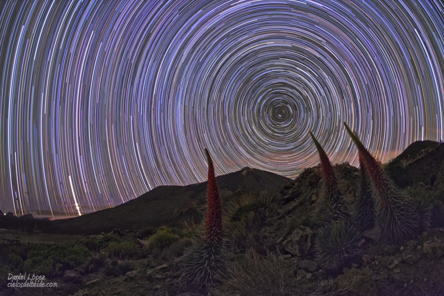 Star Trails and Tajinastes