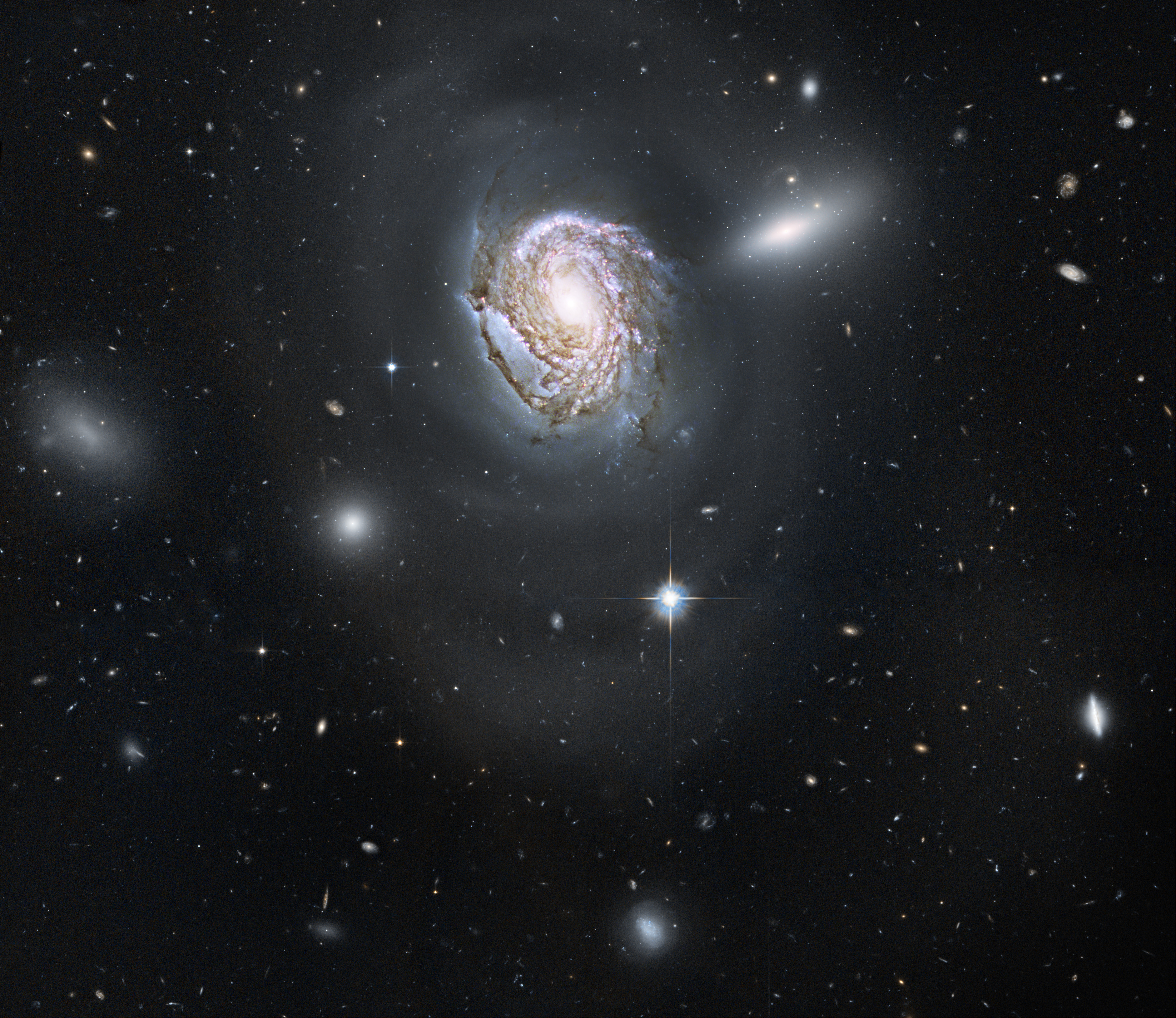 NGC 4911: Spiral Diving into a Dense Cluster