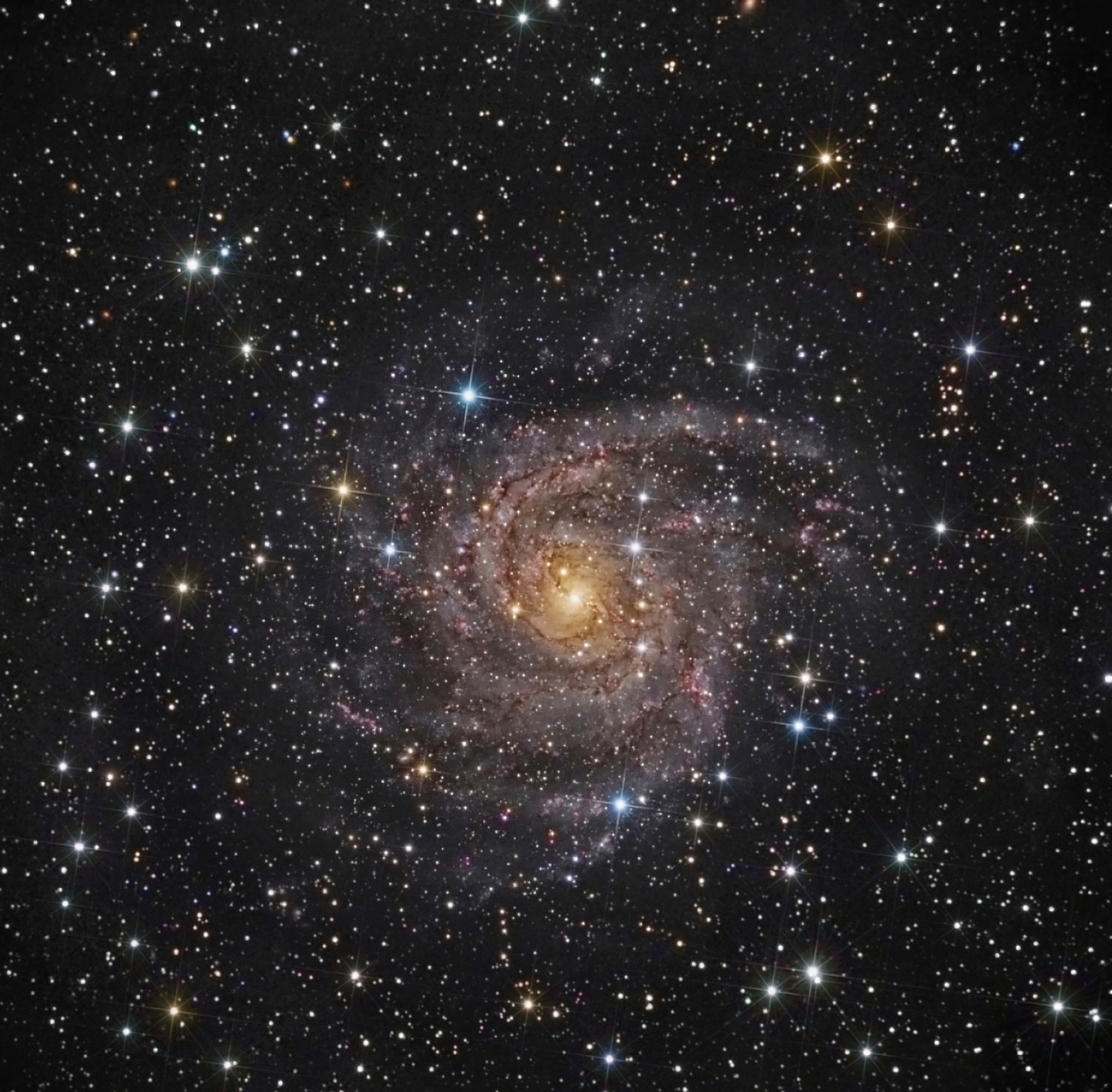 Hidden Galaxy IC 342