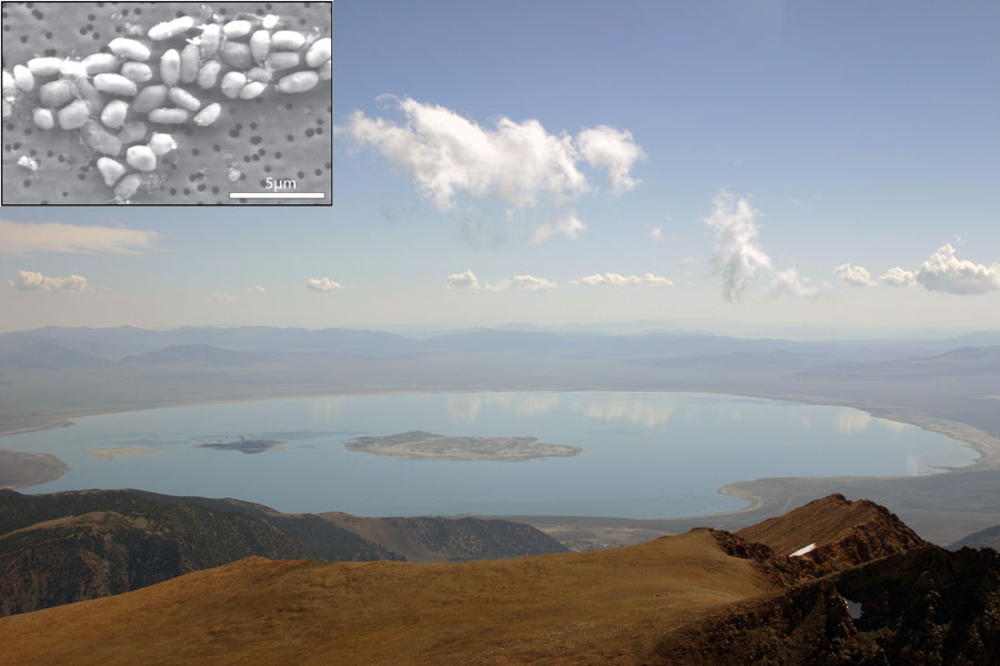 Mono Lake: Home to the Strange Microbe GFAJ-1