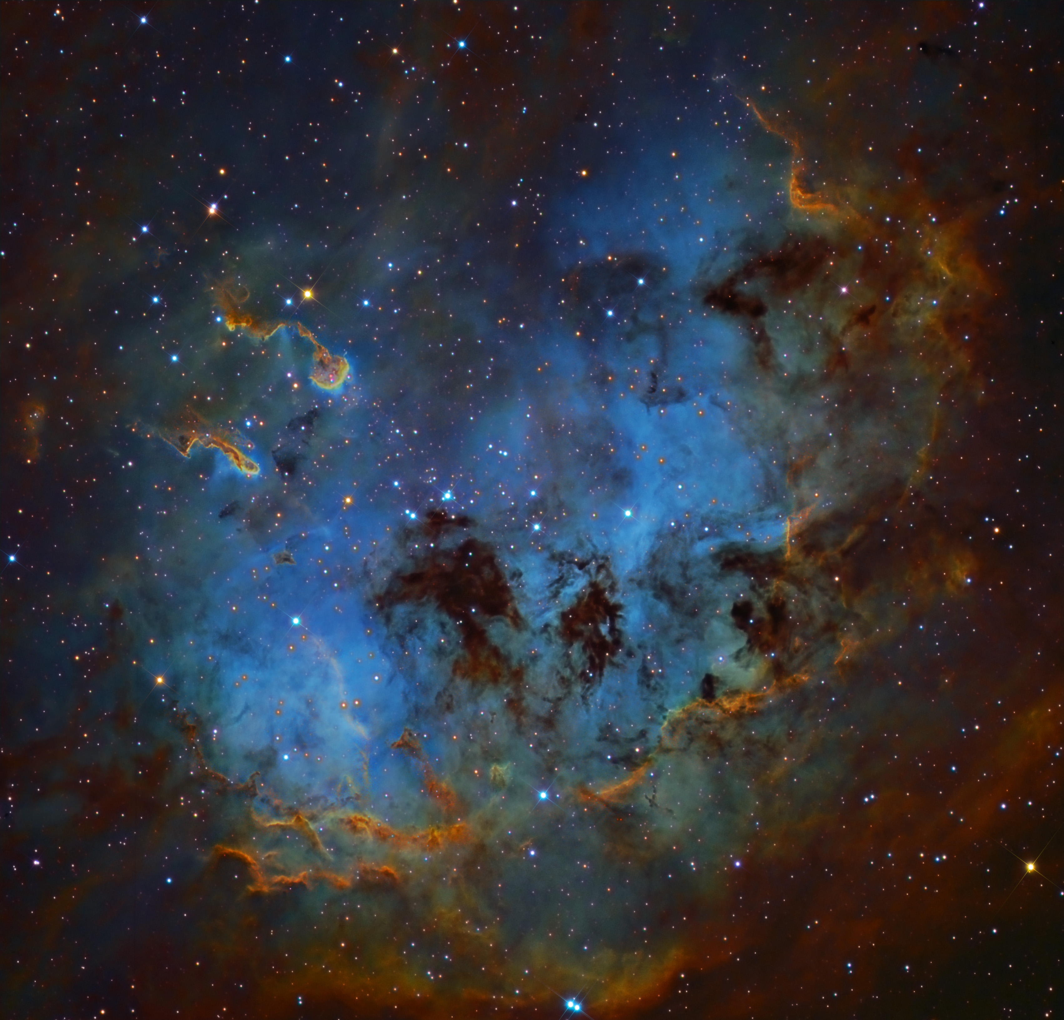 The Tadpoles of IC 410