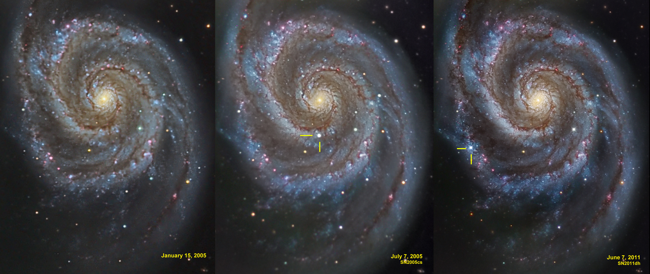 Supernovae in the Whirlpool