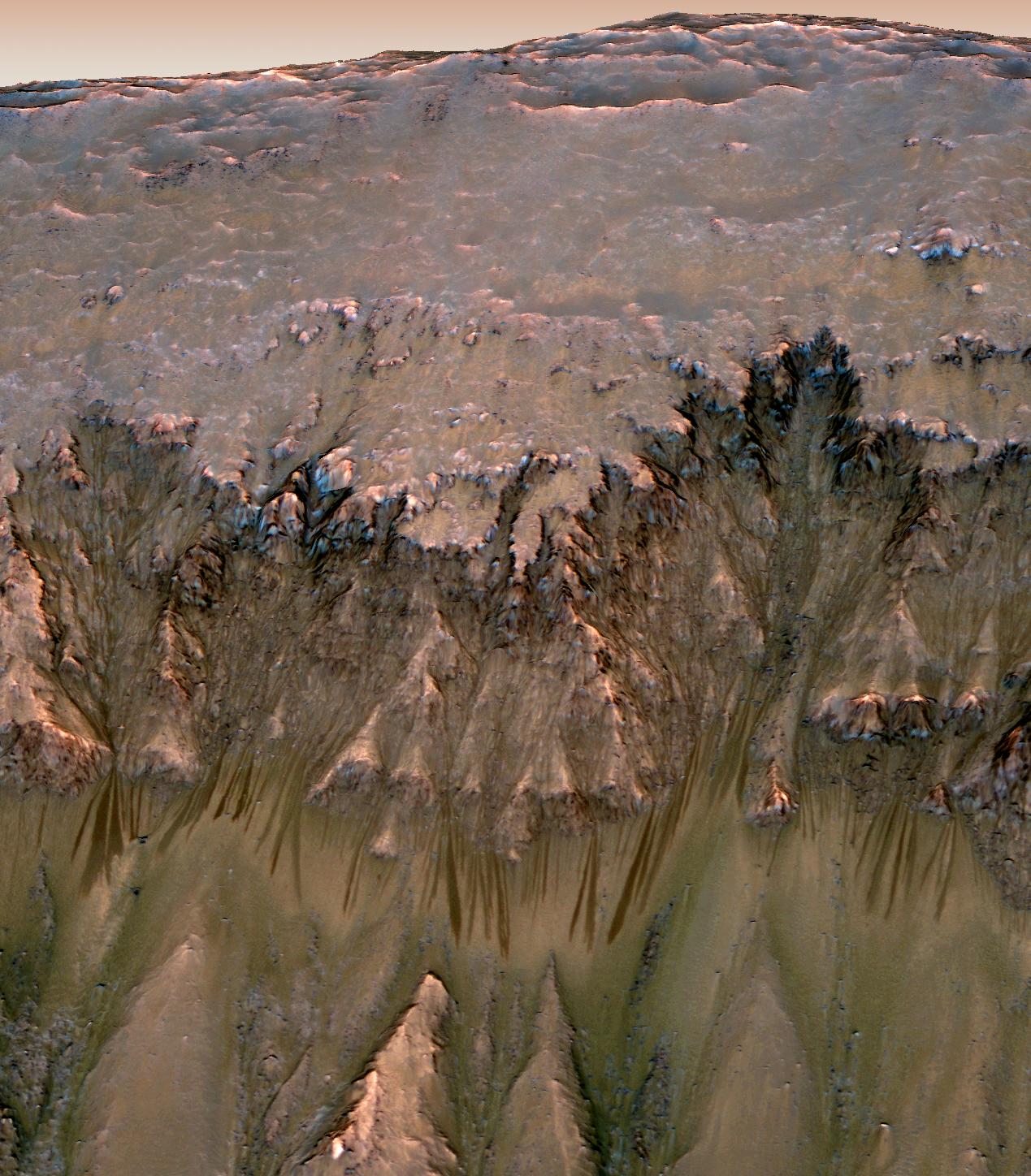 Seasonal Dark Streaks on Mars