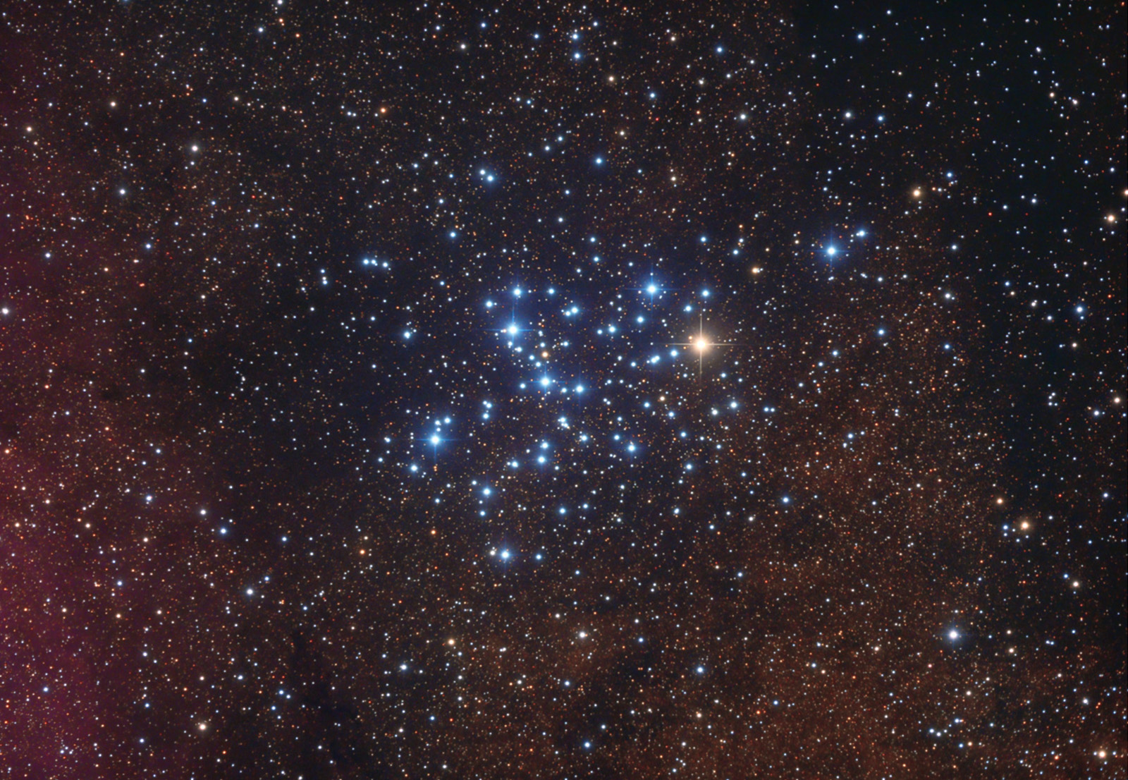 M6: The Butterfly Cluster